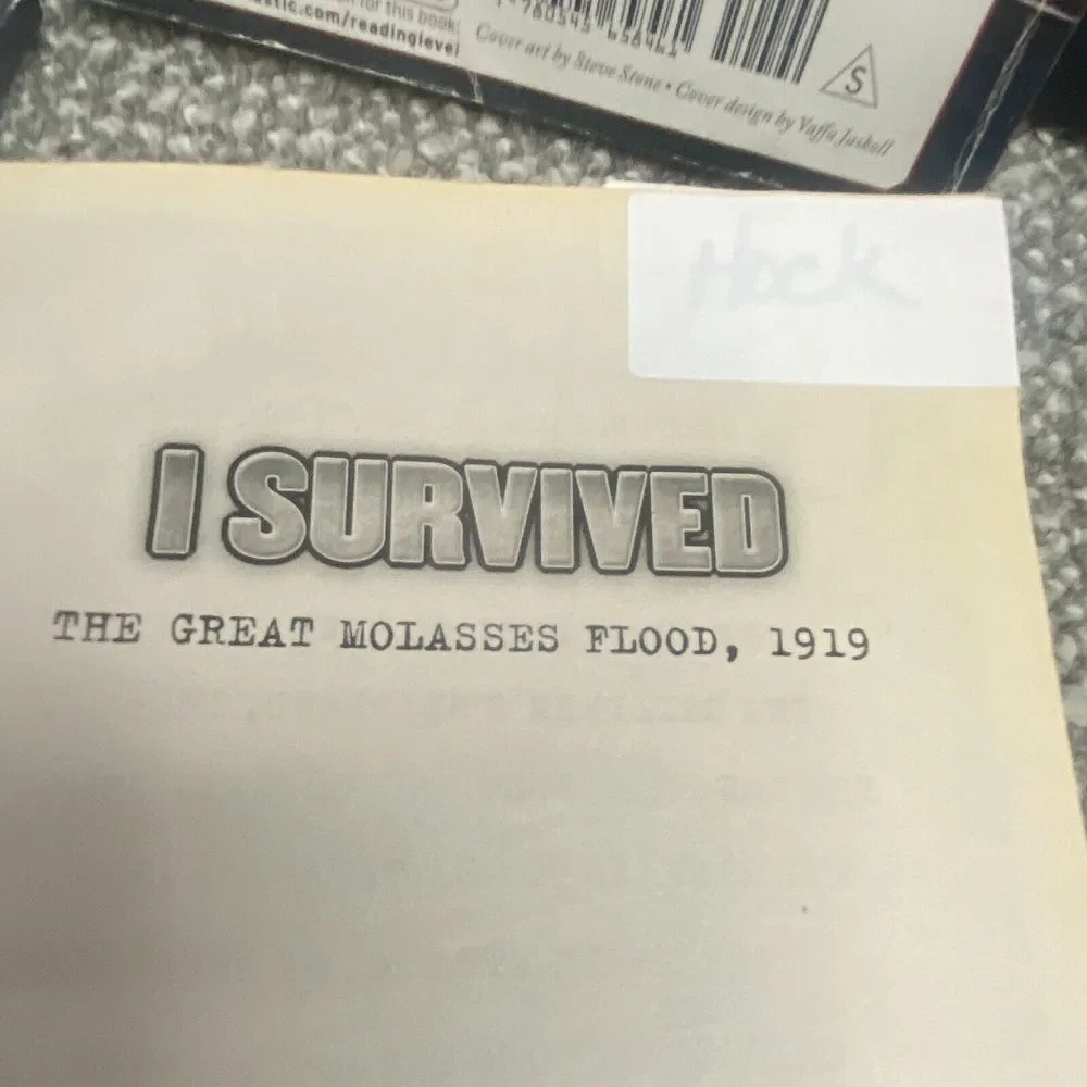 I Survived Book Set 12 Books‎ Elementary Middle Literacy